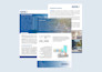 create your executive summary or investment teaser